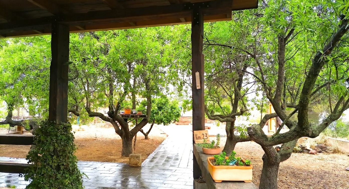 Jardín con árboles